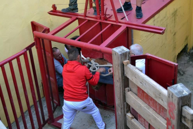 Fotos de las fiestas de Lodosa del día de 13 septiembre.