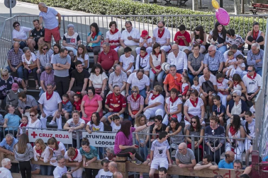 Fotos de las fiestas de Lodosa del día de 13 septiembre.