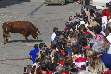 Fotos de las fiestas de Lodosa del día de 13 septiembre.