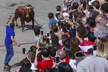 Fotos de las fiestas de Lodosa del día de 13 septiembre.