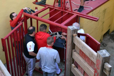 Fotos de las fiestas de Lodosa del día de 13 septiembre.
