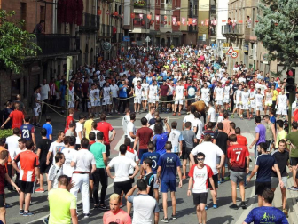 Fotos de las fiestas de Lodosa del día de 14 septiembre.