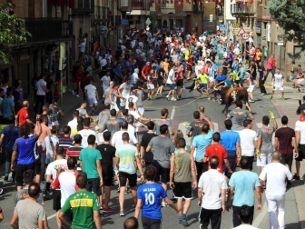Fotos de las fiestas de Lodosa del día de 14 septiembre.