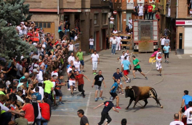 Fotos de las fiestas de Lodosa del día de 14 septiembre.