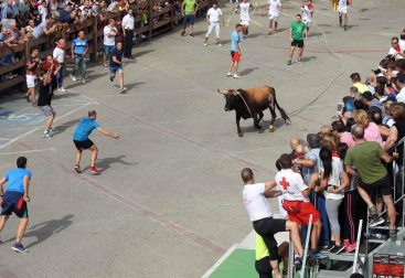 Fotos de las fiestas de Lodosa del día de 14 septiembre.