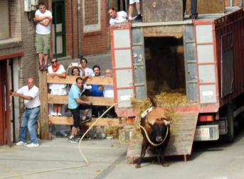 Fotos de las fiestas de Lodosa del día de 14 septiembre.