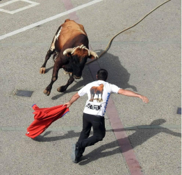 Fotos de las fiestas de Lodosa del día de 14 septiembre.