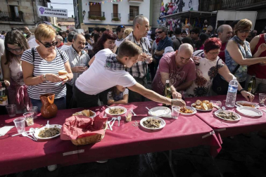 Fotos del Día grande de fiestas de Alsasua
