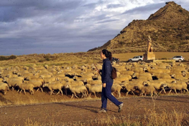Todas las fotos del Día de las Bardenas