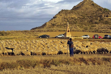 Todas las fotos del Día de las Bardenas