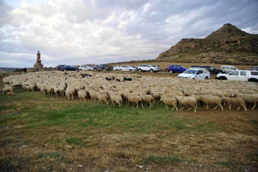 Todas las fotos del Día de las Bardenas