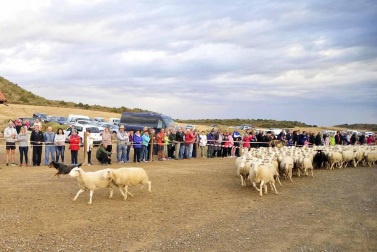 Todas las fotos del Día de las Bardenas
