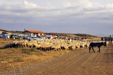 Todas las fotos del Día de las Bardenas