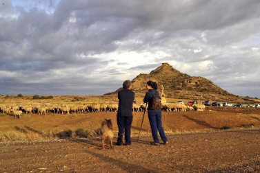 Todas las fotos del Día de las Bardenas