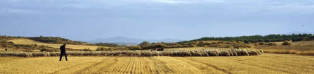 Todas las fotos del Día de las Bardenas