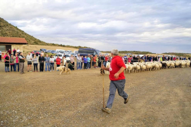 Todas las fotos del Día de las Bardenas