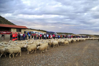 Todas las fotos del Día de las Bardenas