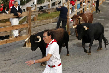 Todas las fotos de fiestas de Sangüesa del 16 de septiembre