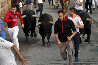 Todas las fotos de fiestas de Sangüesa del 16 de septiembre