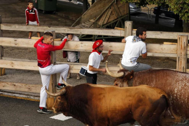 Todas las fotos de fiestas de Sangüesa del 16 de septiembre