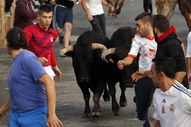 Todas las fotos de fiestas de Sangüesa del 16 de septiembre