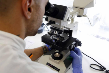 Las últimas alertas en el país por listeria o bolutismo, hallado en este último caso en un lote de atún envasado, avivan el interés por conocer los recursos de prevención y protocolos de seguridad alimentaria