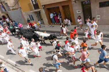 Fotos de las fiestas de Fitero 2019