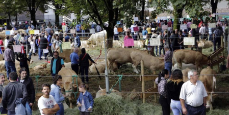 Todas las fotos de la feria de la vaca pirenaica en Elizondo