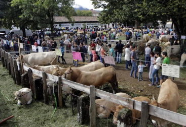 Todas las fotos de la feria de la vaca pirenaica en Elizondo