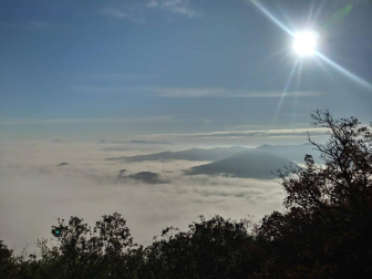 Fotos del otoño, retratado por los lectores de Diariodenavarra.es.