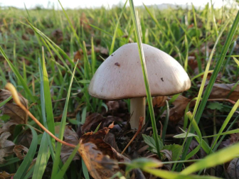 Fotos del otoño, retratado por los lectores de Diariodenavarra.es.