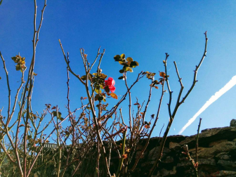 Fotos del otoño, retratado por los lectores de Diariodenavarra.es.