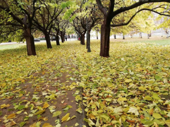 Fotos del otoño, retratado por los lectores de Diariodenavarra.es.