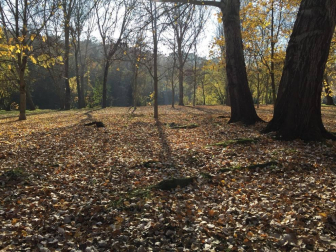 Fotos del otoño, retratado por los lectores de Diariodenavarra.es.