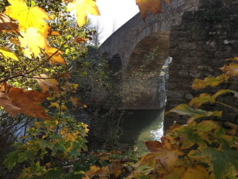 Fotos del otoño, retratado por los lectores de Diariodenavarra.es.