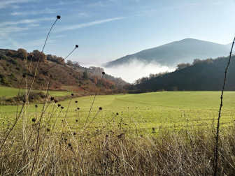 Fotos del otoño, retratado por los lectores de Diariodenavarra.es.