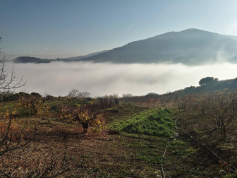 Fotos del otoño, retratado por los lectores de Diariodenavarra.es.