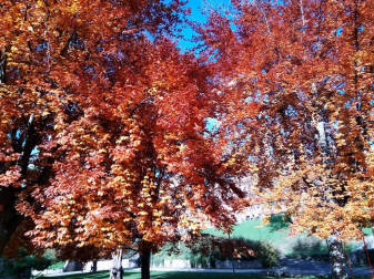 Fotos del otoño, retratado por los lectores de Diariodenavarra.es.