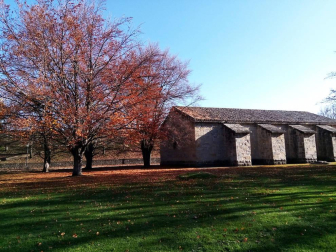 Fotos del otoño, retratado por los lectores de Diariodenavarra.es.