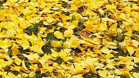 Fotos del otoño, retratado por los lectores de Diariodenavarra.es.