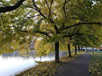 Fotos del otoño, retratado por los lectores de Diariodenavarra.es.