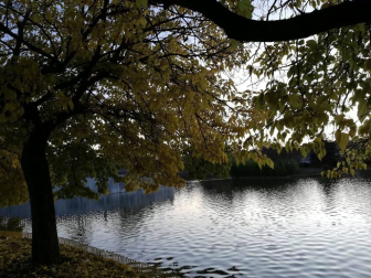 Fotos del otoño, retratado por los lectores de Diariodenavarra.es.