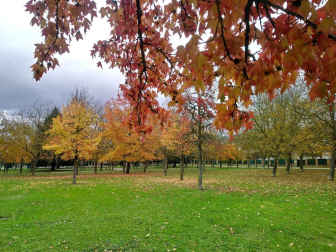 Fotos del otoño, retratado por los lectores de Diariodenavarra.es.