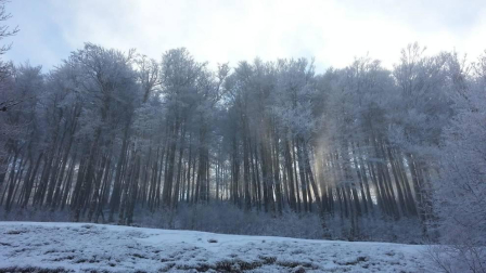 Fotos del otoño, retratado por los lectores de Diariodenavarra.es.