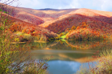Fotos del otoño, retratado por los lectores de Diariodenavarra.es.