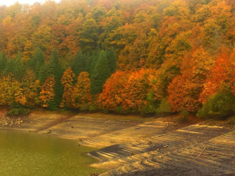 Fotos del otoño, retratado por los lectores de Diariodenavarra.es.