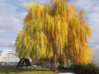 Fotos del otoño, retratado por los lectores de Diariodenavarra.es.