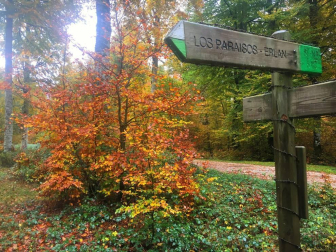 Fotos del otoño, retratado por los lectores de Diariodenavarra.es.