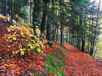 Fotos del otoño, retratado por los lectores de Diariodenavarra.es.