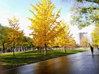 Fotos del otoño, retratado por los lectores de Diariodenavarra.es.